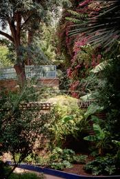 Image du Maroc Professionnelle de  Le Jardin Majorelle une pure merveille crée par le peintre français Jacques Majorelle, qui a eu le coup de foudre pour Marrakech. Yves Saint Laurent et Pierre Bergé font l’acquisition de ce havre de paix durant les années quatre-vingt où Yves Saint Laurent dessina plusieurs pièces. son voeux était de faire de ce parc une œuvre d’art vivante. On y découvre des plantes provenant des cinq continents, yuccas d’Océanie, lotus d’Asie, cactus d’Amérique, palmiers d’Afrique et cyprès d’Europe …, à Marrakech le Lundi 18 Août 1997. ((Photo / Abdeljalil Bounhar)